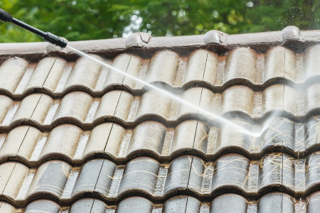 Ultimate Roof Cleaning Guide
