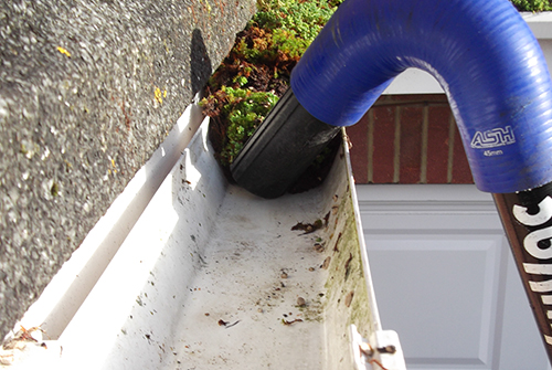 Building Cleaning